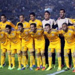 TIGRES 2014