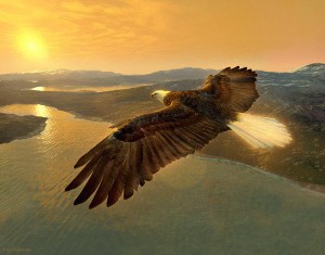 soaring-eagle-ray-downing