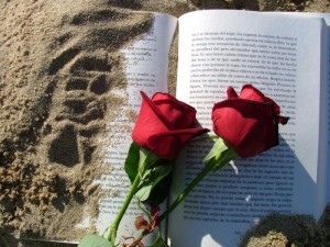 rosa-roja